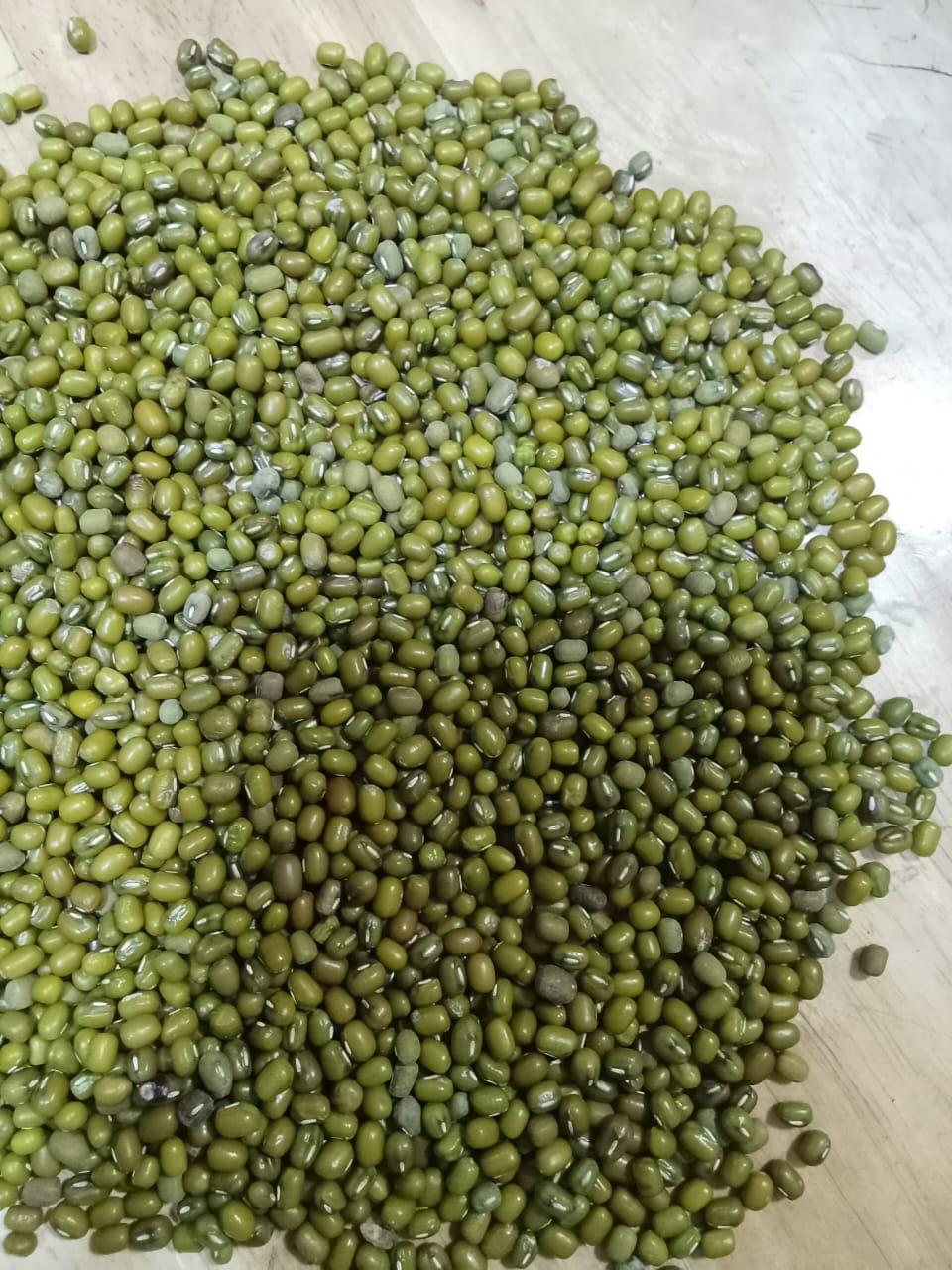 Myanmar Green Mung Beans