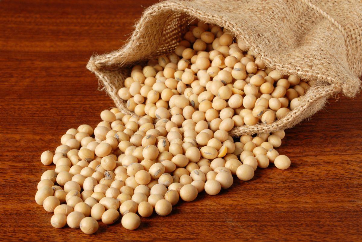 Soybean Seeds Purity ≥ 99% Moisture ≤ 13.5% Oil Content 18–20% E. Coli ≤ 10 Cfu/g Foreign Matter ≤ 1% Origin South