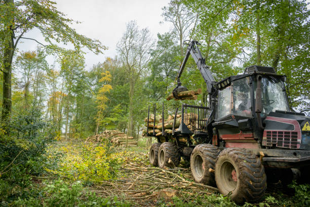 Top 8 Forestry Machinery Suppliers in China in Year 2025