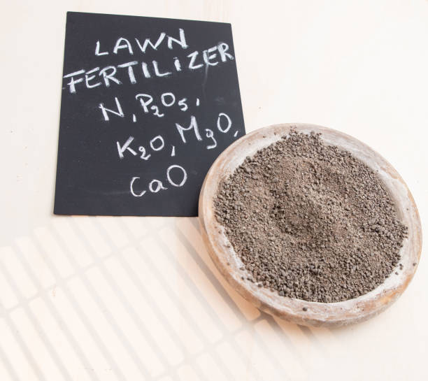 Top 4 Fertilizer Suppliers in South Africa in July 2025