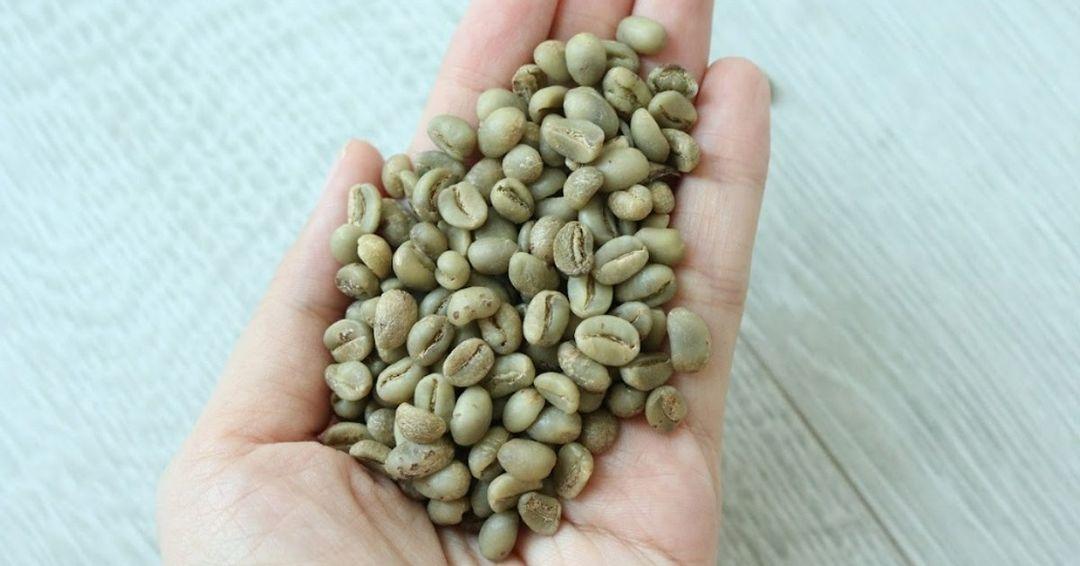 Premium Arabica Coffee Beans | Arabica Coffee Beans | Green Coffee Beans | Arabica Coffee Beans Wholesale Supplier