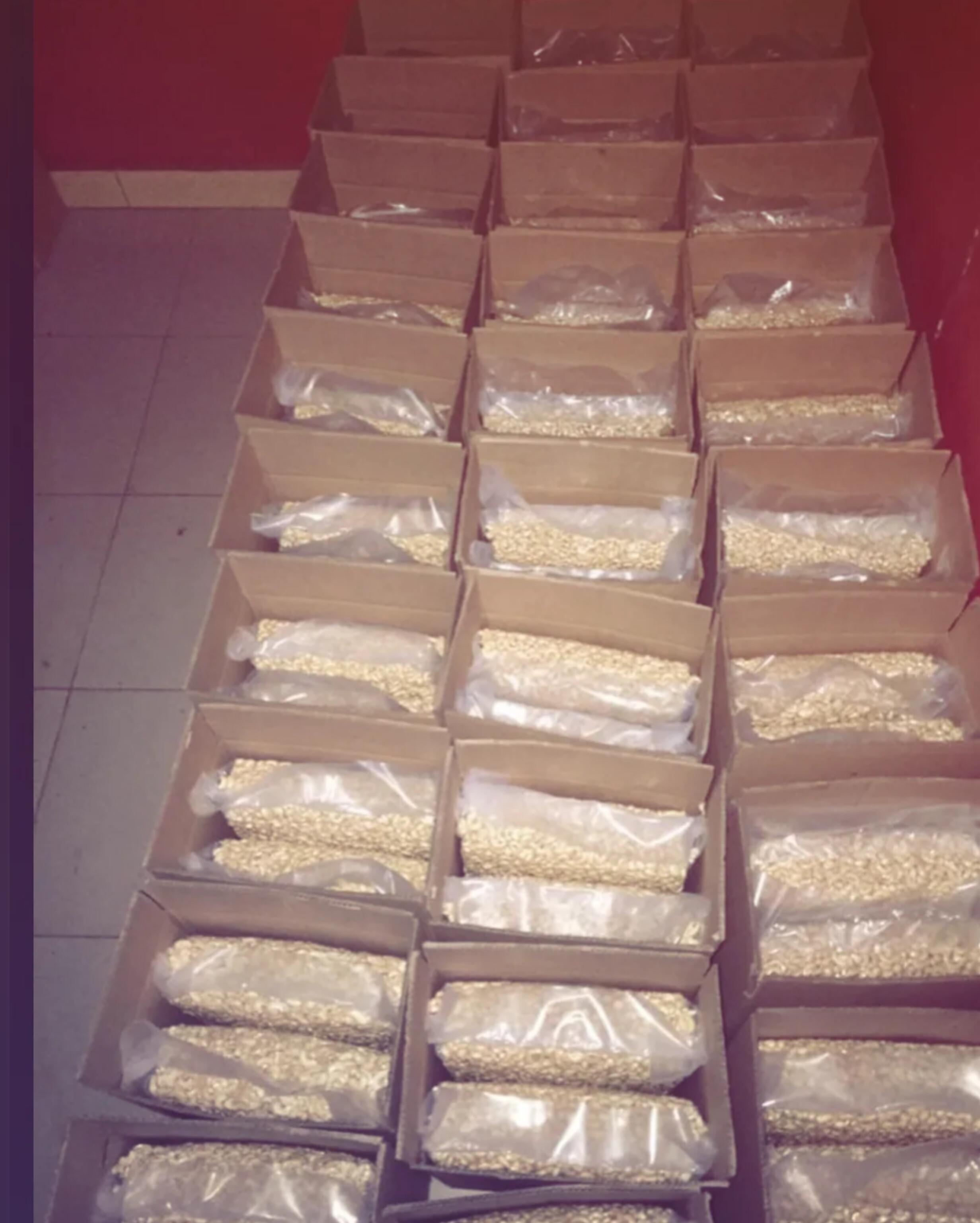 Raw Cashew Nuts Image 2