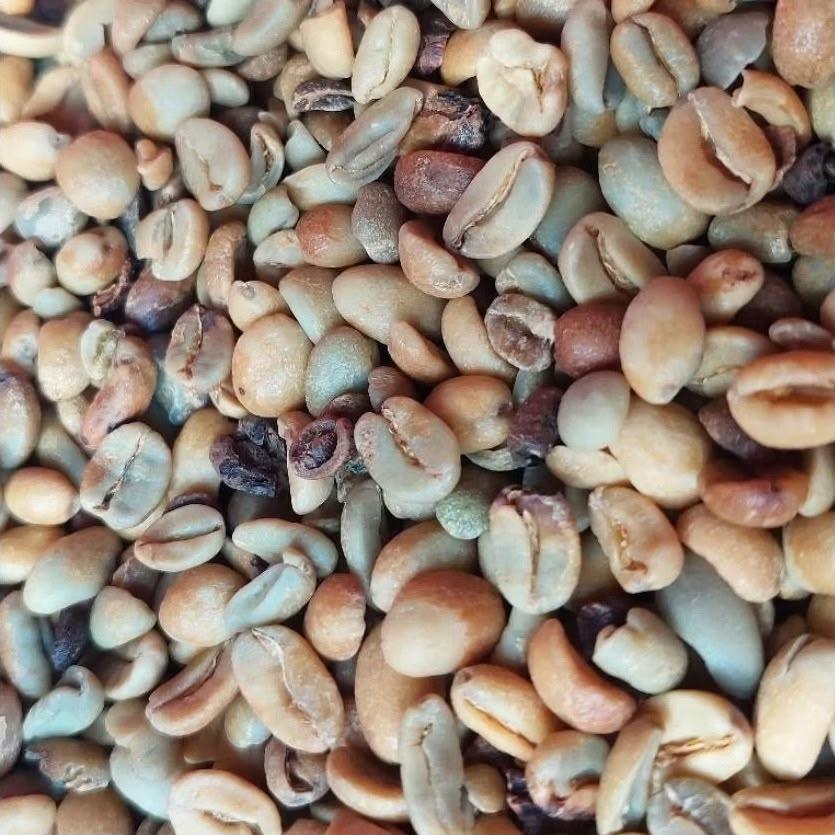 VIETNAMESE ARABICA GREEN BEANS COFFEE FULL WASHED FOR BULK, EXPORT QUALITY – product photo, product description