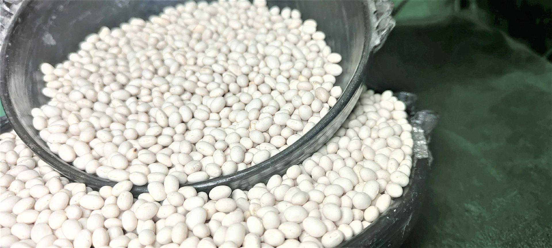 2024 Ethiopian Origin White Pea Beans Hand-Picked Round shape Wholesale Dried New Crop Available in Bulk Quantity