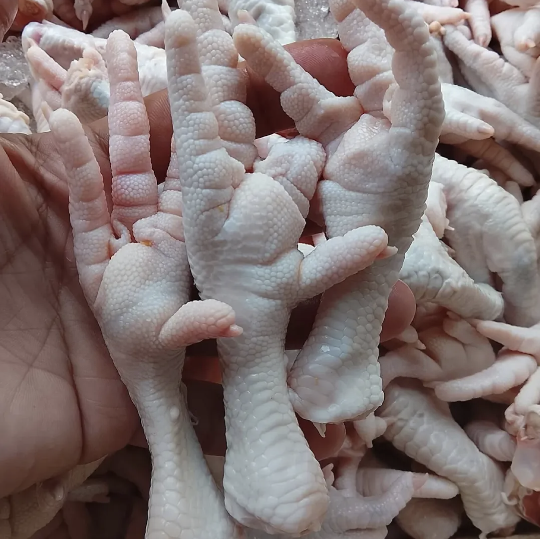 Premium Poultry – Grade A Fresh Frozen Chicken Paws Export Quality Chicken Feet 10kg On Sale