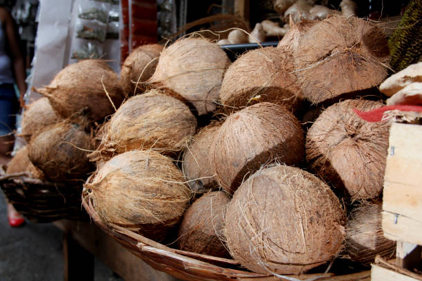 A Comprehensive Guide to Sourcing High-Quality Coconut: Top 9 Coconut Suppliers in Netherlands in Year 2025