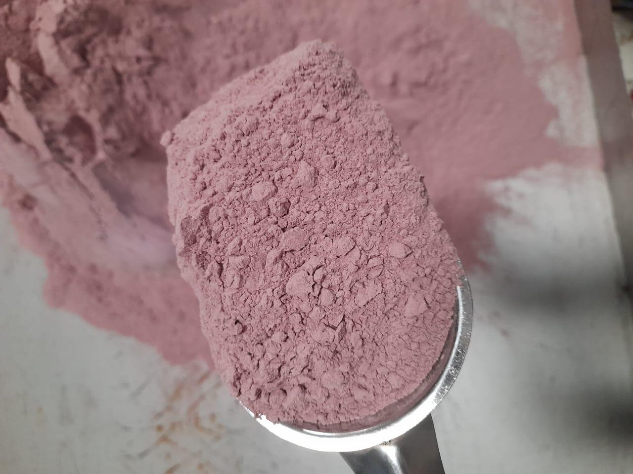 Dried Onion powder and dried onion flakes