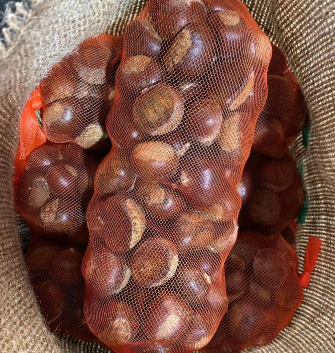 Hot Sale Fresh Chinese Chestnut Grade A China Origin Wholesale Bulk For Food Processing