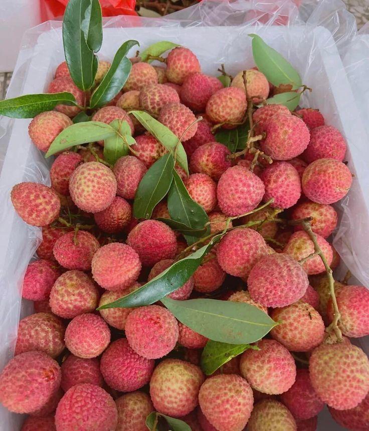 Top 8 Fresh Fruits suppliers in Indonesia — 8 Capabilities Reviewed - 6