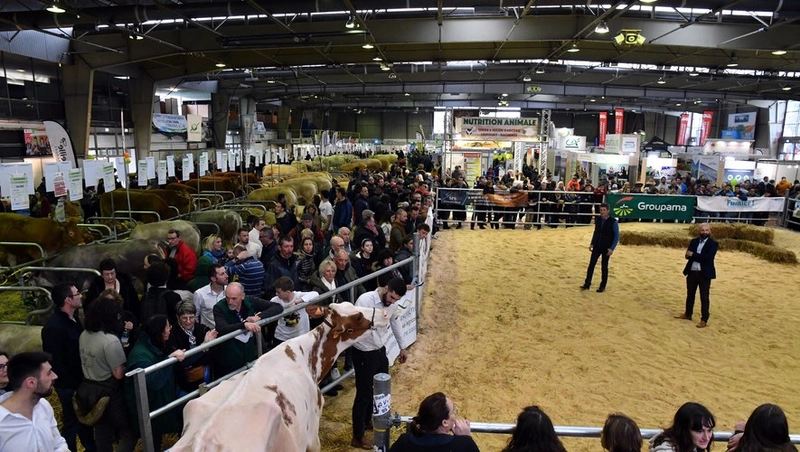 Inside SALON DE L'AGRICULTURE DE TARBES: B2B Key Insights - 2