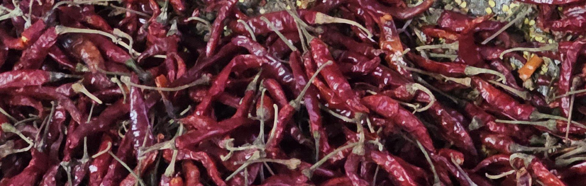 Export Quality Chillies