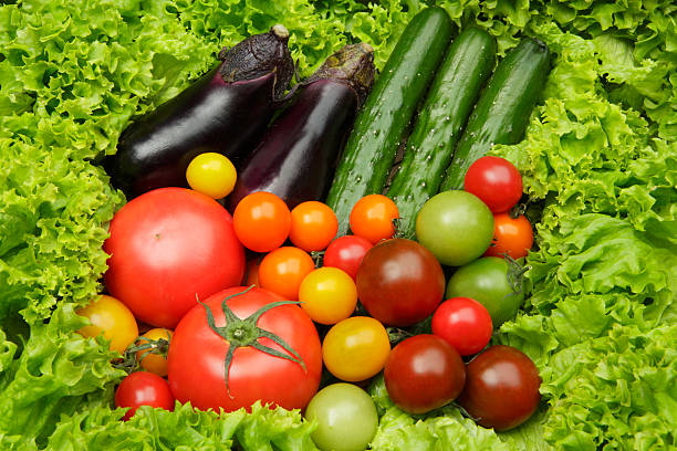 Top 8 Fresh Vegetables Suppliers in Philippines in July 2025