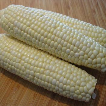 White Corn Maize Image 4