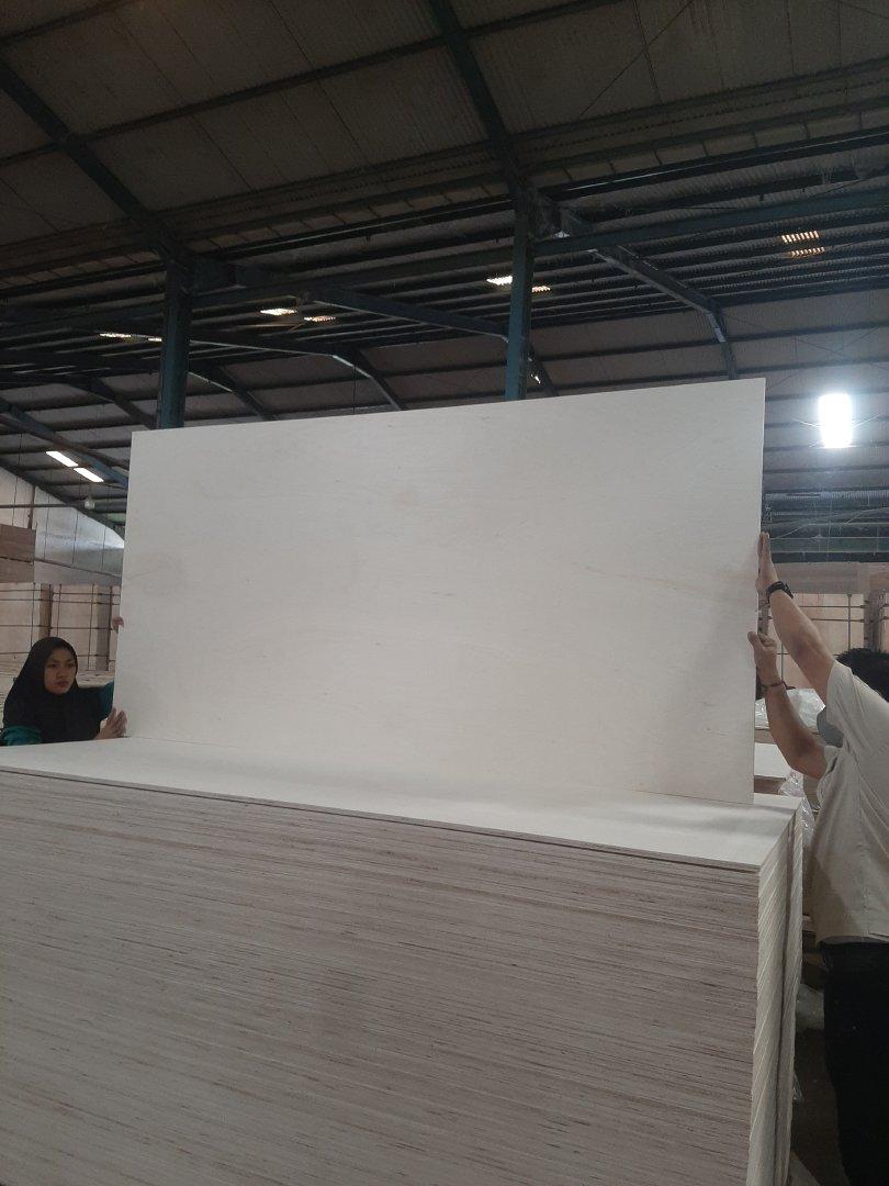 Plywood