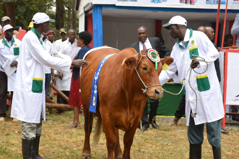 Why Nairobi International Trade Fair (NITF) Matters for B2B - 1