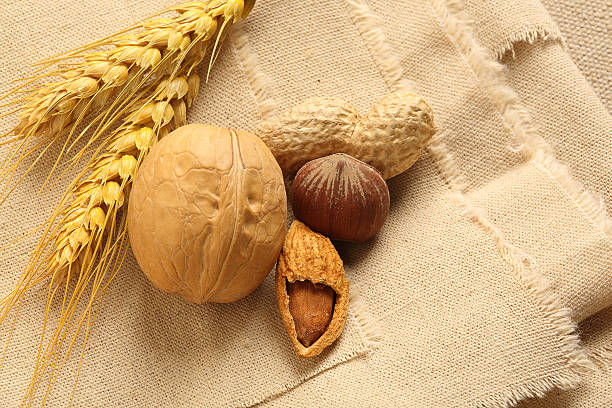 Your Expert Guide to Procuring Top-Tier Nut: Top 3 Nut Suppliers in Germany in Quarter 3 of 2025