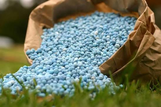 Agricultural Nitrogen Fertilizer Calcium Ammonium Nitrate CAN 27% N Granular Fertilizer for Healthy Crop Production