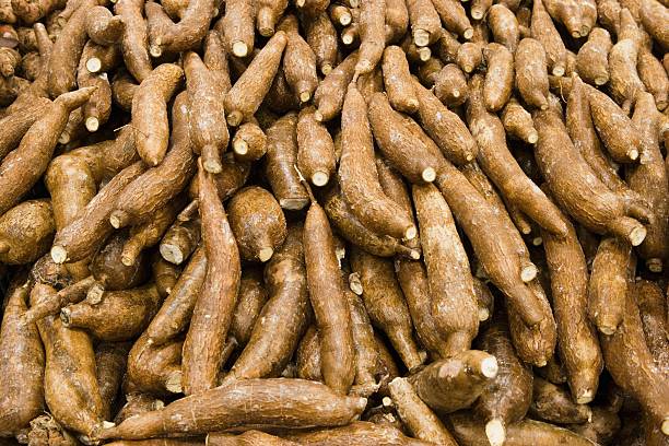 Top 8 Tapioca Starch Suppliers in Vietnam in Quarter 2 of 2025