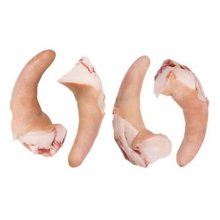 Frozen pork tail bulk wholesale supply chilled and frozen for restaurants and importers