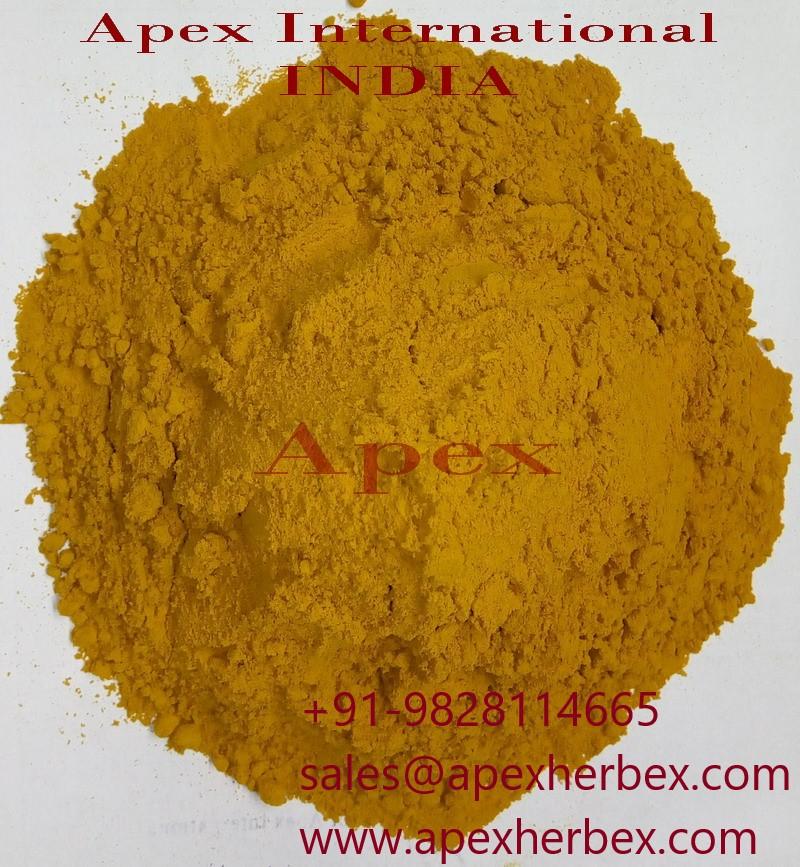 Turmeric Powder, Dried Turmeric Powder,Curcuma longa Powder, Curcuma longa Root Powder,Turmeric Root Powder, Curcuma Longa, Curcuma Longa Powder ,Dry Turmeric Powder, Turmeric Powder Bulk Supplier From India