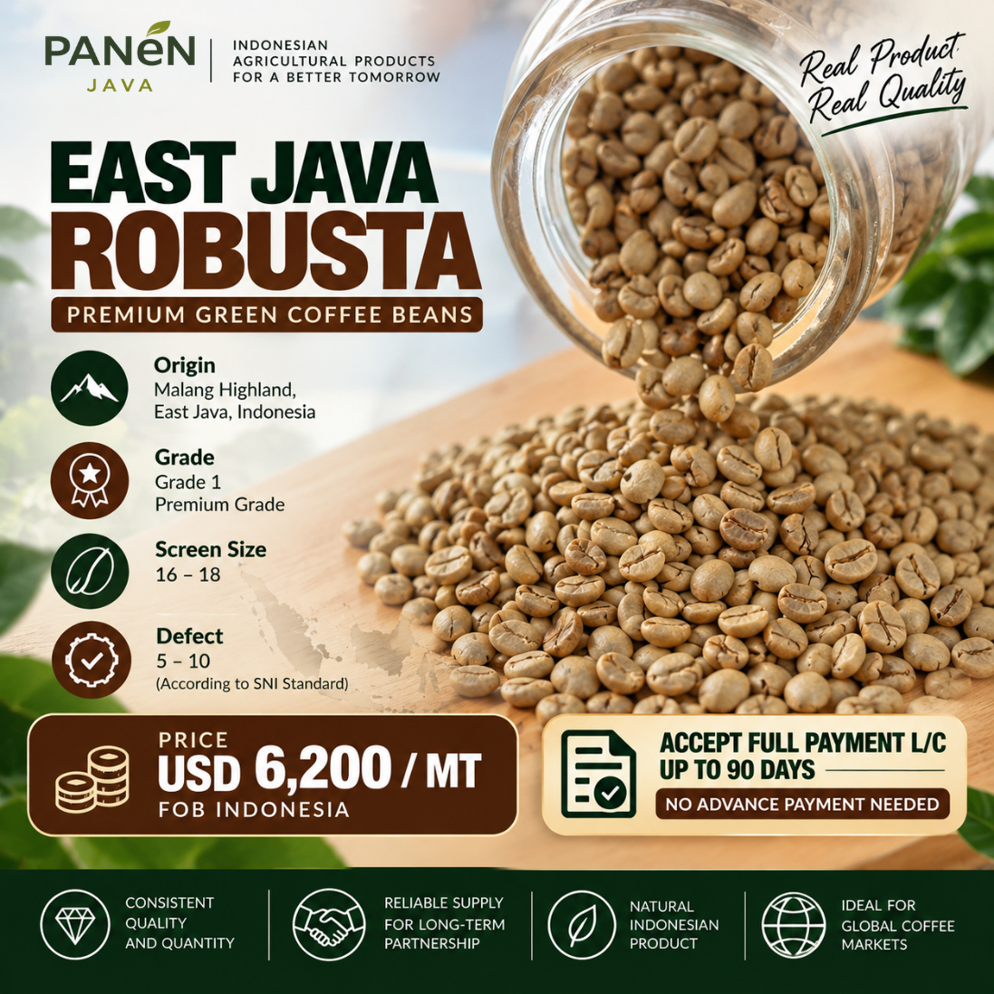East Java Robusta Green Coffee Bean - Premium Quality