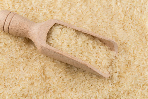 Top 6 Long Grain Rice Suppliers in Netherlands in July 2025