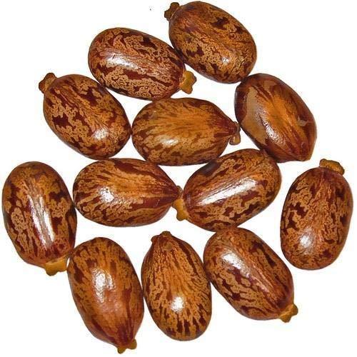 Seed Packaging