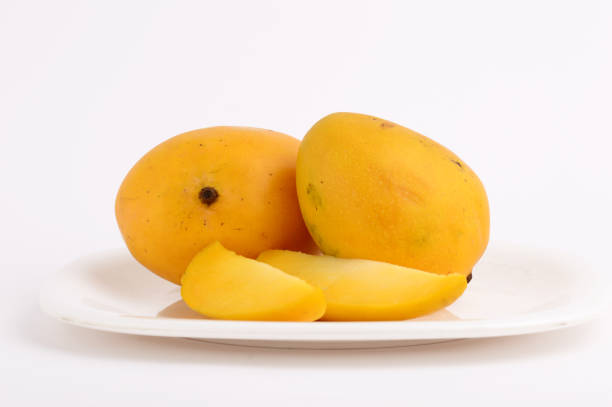 Top 7 Mango Suppliers in Singapore in Year 2025