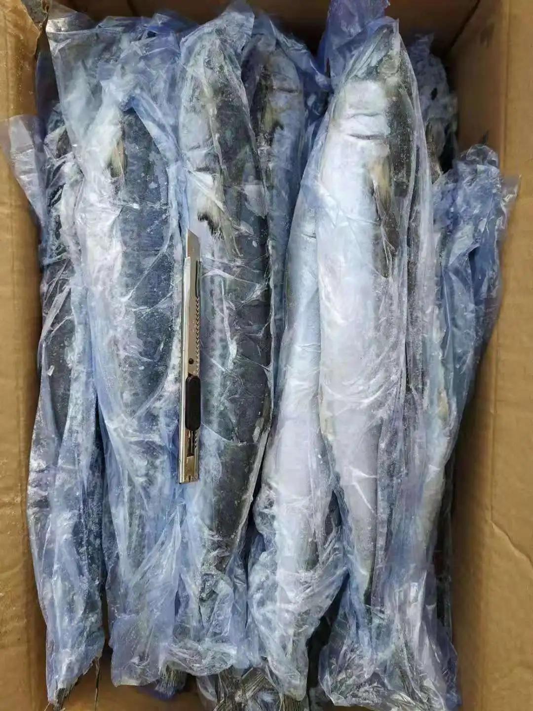 Discover the Top 4 Frozen Fish suppliers in China - 3