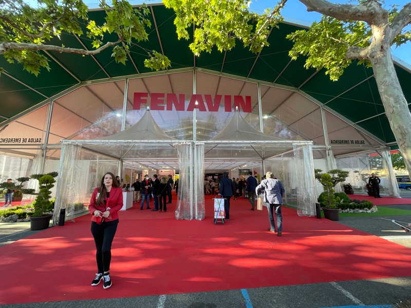 Why Spanish Wine Fair (FENAVIN) Matters for B2B - 3