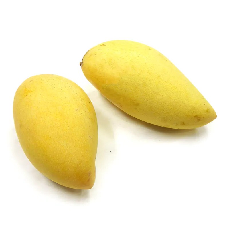 3e855cbb3e9942b2b055b0ac203066e5