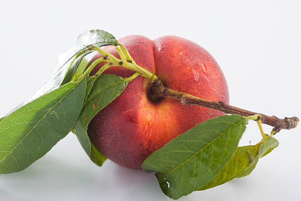 Top 6 Peach Suppliers in Italy in Year 2025: A Data-Driven Guide for Global Exporters