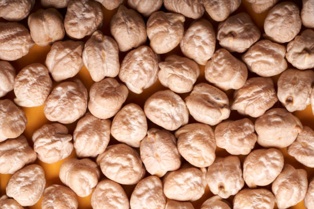 Top 8 Chickpeas Suppliers in United Arab Emirates in July 2025