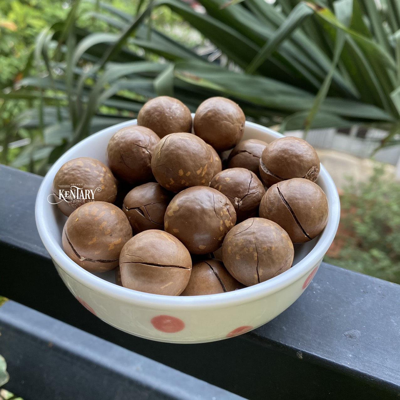 Macadamia Nut Cracker