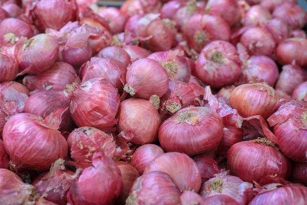 A Comprehensive Guide to Sourcing High-Quality Onion: Top 10 Onion Suppliers in Switzerland in Quarter 3 of 2025