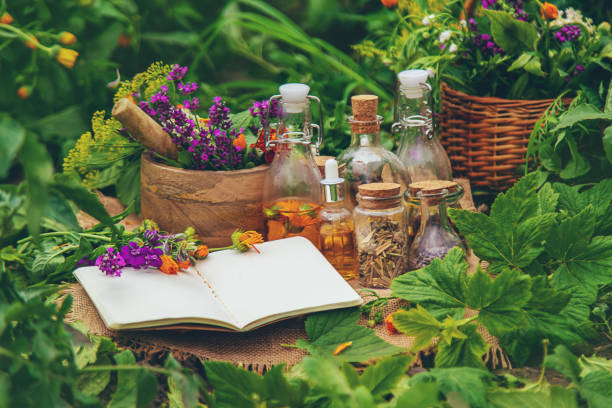 Top 4 Herbal Products Suppliers in Malaysia in Year 2025