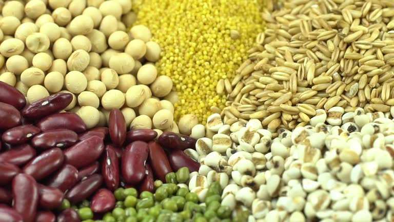 A Comprehensive Guide to Sourcing High-Quality Food Products: Top 5 Food Products Suppliers in Sri Lanka in Quarter 3 of 2025