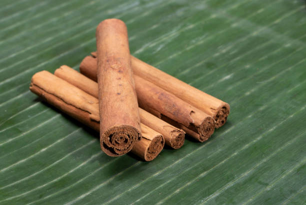 A Comprehensive Guide to Sourcing High-Quality Cinnamon: Top 5 Cinnamon Suppliers in Spain in July 2025