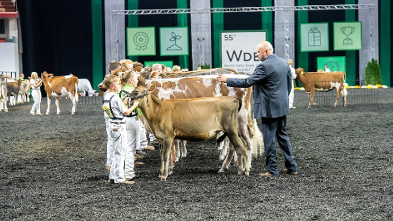 World Dairy Expo Spotlight: B2B Essentials - 3