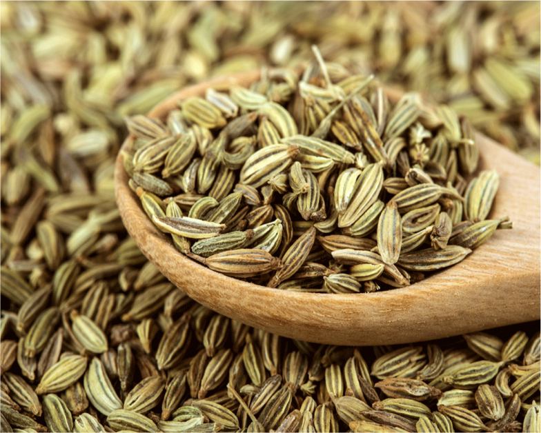Fennel Seeds Whole