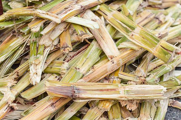 Sugarcane Bagasse Protein ≤ 2% Ph 6.0 – 7.0 Lignin 18 – 24% Ash Content ≤ 3% Fat Content ≤ 1% Cellulose 40 – 50% Origin South