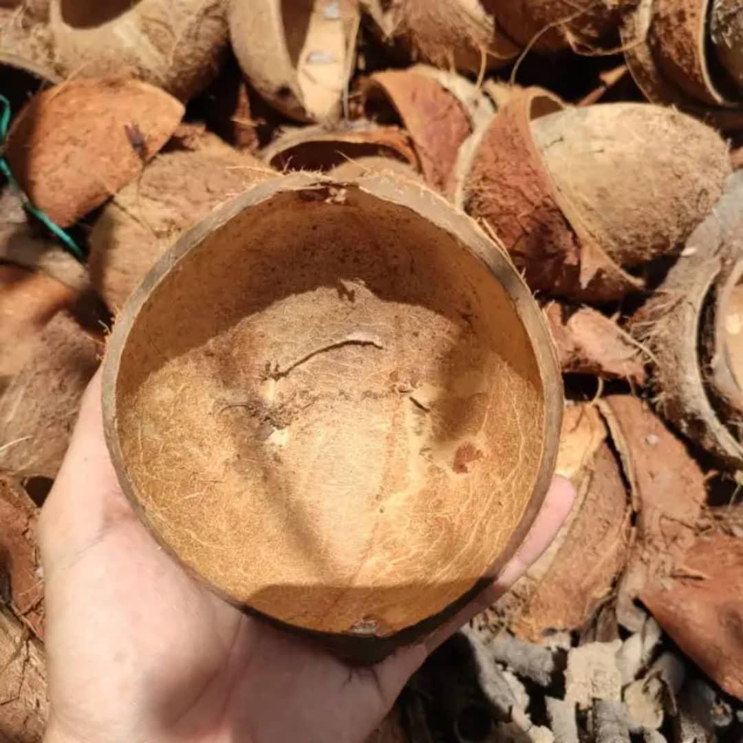 Buy raw coconut shell material at wholesale price perfect for agriculture waste use with fast delivery and always in stock 
