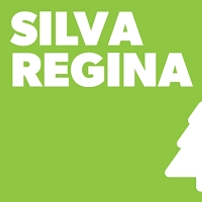 Unlock Silva Regina: Must-Know B2B Event