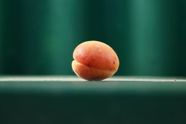 Top 5 Apricot Suppliers in Italy in Year 2025: A Data-Driven Export Outlook