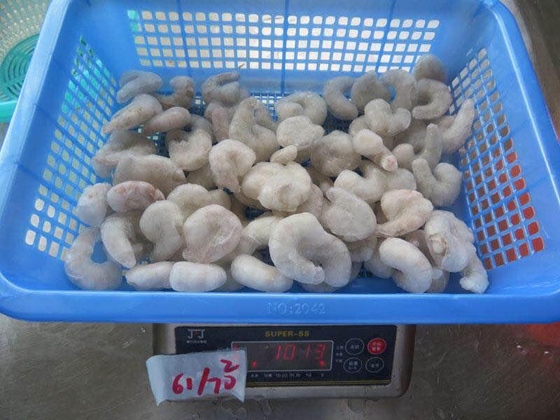 frozen vannamei shrimp