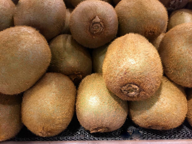 Top 4 Kiwi Suppliers in Canada in Quarter 3 of 2025