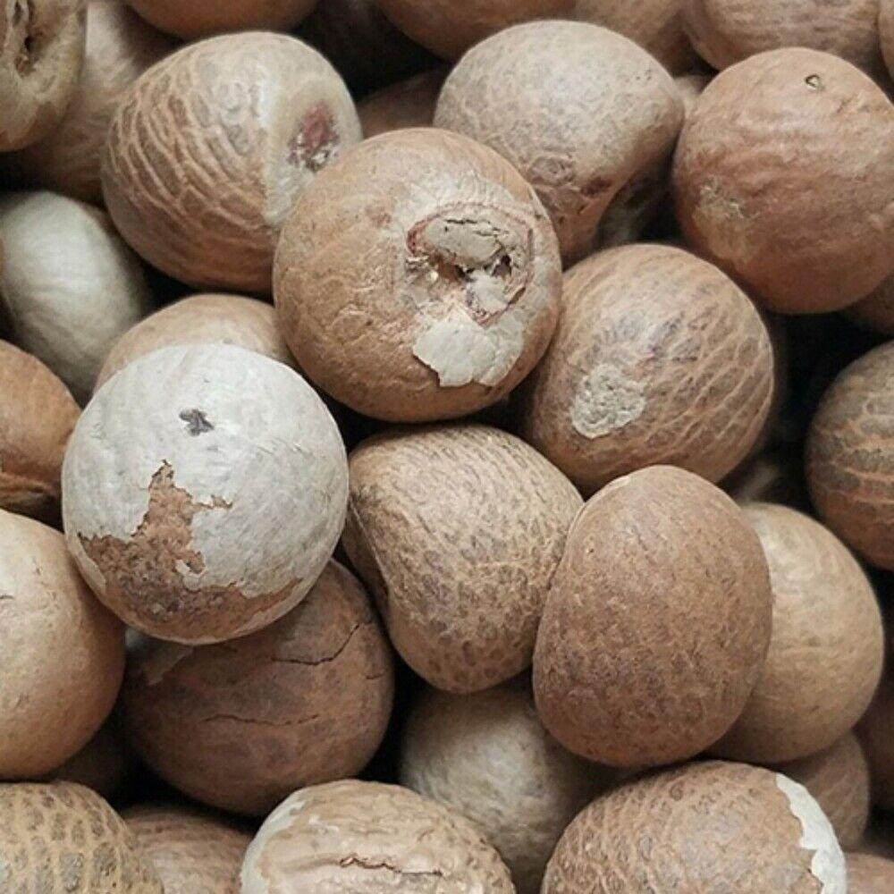 Organic Betel Nuts High Quality Betel Nuts Sourced From Trusted Farms Perfect For Food Industry And Wholesale Supply