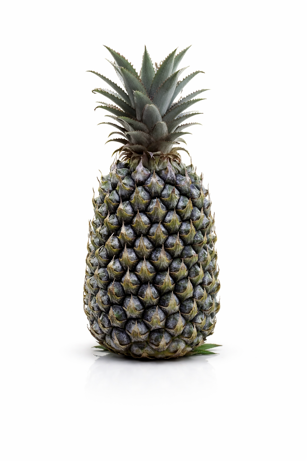 Simplex Pineapple Cross Section