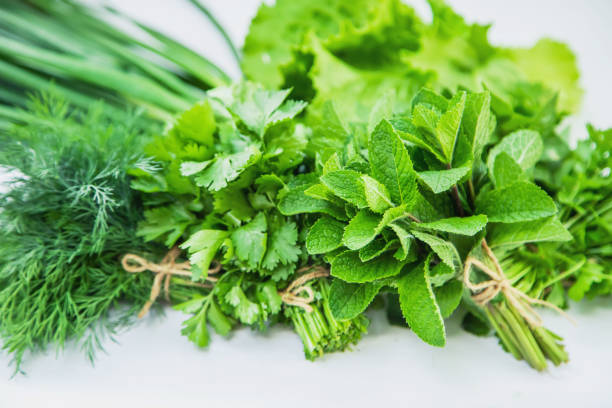 Top 8 Herbs Suppliers in Thailand in Quarter 2 of 2025