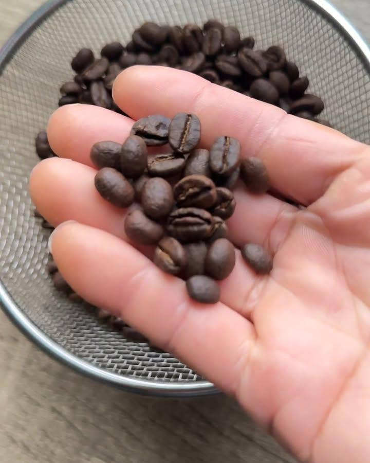 Fresh Roasted Coffee beans